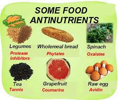 In order to help you begin, food vocabulary lists have been provided below. Classification Of Antinutrients Botanical Online