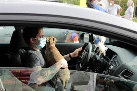 Our trained pet counselors will make sure you have everything you need to help the new member of the family settle in. Pet Owners Line Up At Food Banks In Florida Express Digest