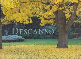Amazon.com: Descanso: An Urban Oasis Revealed: 9781890449407: Warren Marr:  Libros