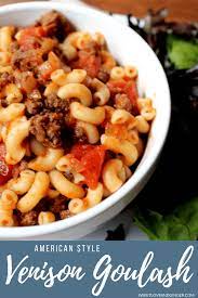 American Style Venison Goulash Sweet Love And Ginger Recipe Ground Venison Recipes Deer Meat Recipes Venison Recipes