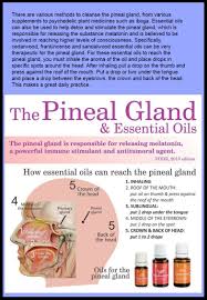 Pin By Brittany Lee Healing Happy On Essential Oils Healing Oils Essential Oils Oils