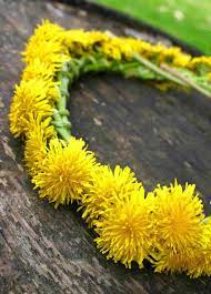 Dandelion Crown And Other Beautiful Nature Crafts Nature Crafts Flowers Crafts