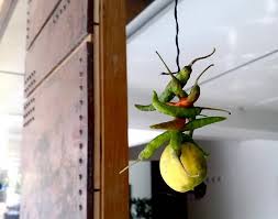 This is a very common practice in india. 10 Common Indian Superstitions Which Some Believe Have A Scientific Reason