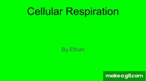 (this one's for you, shiv d.! Cellular Respiration On Make A Gif