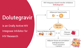 Image result for Integrase Strand Transfer Inhibitor