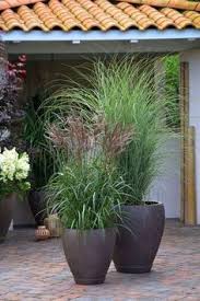 Wellness Oase Im Garten Garten