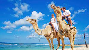 Here, meet sidi amar, a tuareg from northern africa, who has been in los cabos for several years working as the cabo adventures camel handler. Cabo San Lucas 2 Hours Private Tour Package Horse Riding Desert And Eco Tourism Tourhq