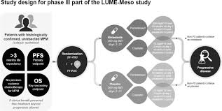 Check spelling or type a new query. Targeting Angiogenesis For Patients With Unresectable Malignant Pleural Mesothelioma Sciencedirect