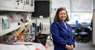Uk Virologist Shares What We Know About Covid 19 Uknow