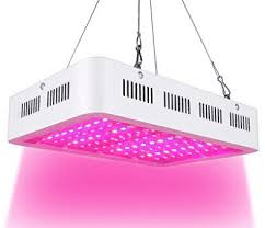 Top 10 Best 1000 Watt Led Grow Lights In 2020 Reviews Led Grow Lights Grow Lights Led Grow