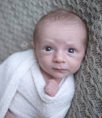 Sarah Beebe Photography