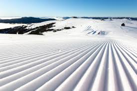 Existing guests in resort are permitted extend their stay or to return home. Mt Buller Buller Ski Lifts Linkedin