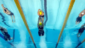 Best swimmer in the world 2017. Sju Simmare Som Vill Satta Stopp For Sarah Sjostrom Dn Se
