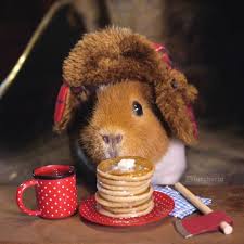 [Image: images?q=tbn:ANd9GcQqkcp9K_qW-4wHVMLfD0A...j78TSCD9GQ]