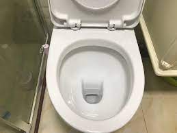 Next, don a protective pair of rubber gloves and proceed to. Useful Ways To Clean Toilet Bowl Stains Homelization