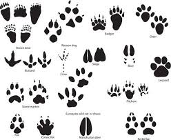 Paw Print Tattoo Google Search Pawprint Tattoo Paw Print Clip Art Paw Tattoo