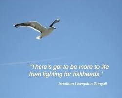 Das ist das neue ebay. There S Got To Be More To Life Jonathan Livingston Seagull Quotes Jonathan Livingston Seagull Richard Bach Quotes
