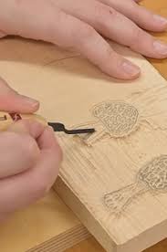 Image result for Medium Walnut 1990 Tracer