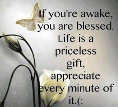 Life Is A Priceless Gift Appreciate It Quotes Appreciate Life Quotes Inspirational Quotes Gift Quotes