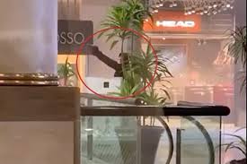 Desde el jueves 3 al domingo 6 de julio, en el mall alto las condes, se realizará la sexta versión de este evento lanero organizado por revista paula y tejidos paula. 9frpilkkmmu9tm