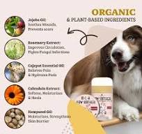 OEM/ODM Private Label 60g Moisturizing Paw Balm for Dogs Wholesale Pet  Grooming Product Dog Paw Protect