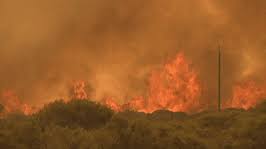 Top 30 Cost Gifs Find The Best Gif On Gfycat