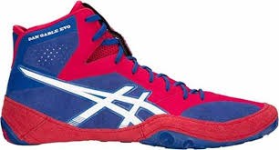 asics dan gable evo