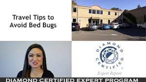We have 700 homeowner reviews of top san francisco pest control services. Bay Area Pest Control Diamond Certified