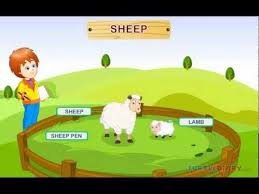 In This Video Kids Learn About The Different Farm Animals Their Babies And Their Homes For More Educati Farm Animals Activities Farm Lessons Farm Activities