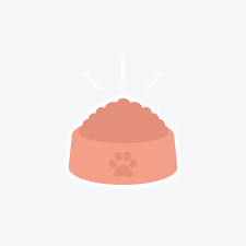 Pet sitting just for cats. Cat Sitters Petsitter Com