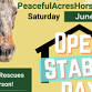 PAH Open Stable Day