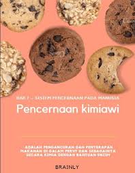 Pencernaan Kimiawi Pertama Kali Terjadi Pada A Mulut B Kerongkongan C Lambung D Usus Dua Brainly Co Id