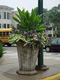 Container Garden Recipe Great Ideas And Tips For Beginner Diy Container Garden Full Sun Container Plants Container Gardening Full Sun Container Gardening