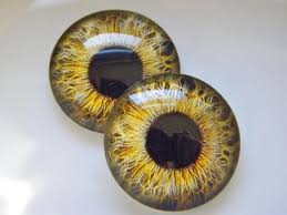 Glass Eyes Gold Eyes Doll Eyes Taxidermy Eyes Realistic