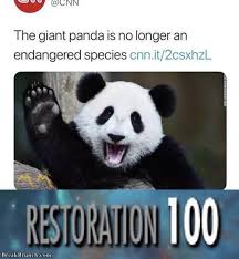 Giant Panda Is No Longer An Endangered Species Funnypicture Visit Breakbrunch Com For More Super Funny Memes Funny Memes Comebacks Funny Pictures