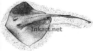 Pin On Art Surf Beach Ocean Art 3