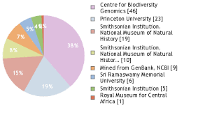 Image result for Pavonia leptocalyx