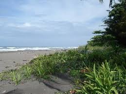 It is recommended to rent a 4×4/4wd for dominical. Beach On The Pacific Ocean In Costa Rica Picture Of San Jose San Jose Metro Tripadvisor