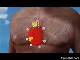 It is the first film in the spongebob squarepants film series. David Hasselhoff Gif On Gifer By Tygrari