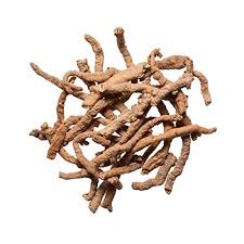 Image result for Polygala persicariifolia