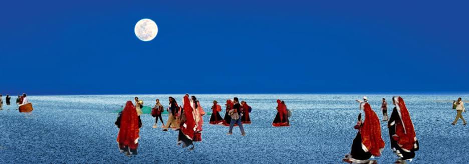 Image result for rann of kutch best pic"