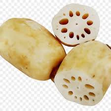 Maybe you would like to learn more about one of these? Jual Akar Teratai Lotus 250gram Jakarta Utara Vegetablessmart Tokopedia