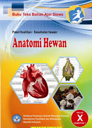Analis kesehatan is my life. Top Pdf Anatomi Hewan Semester 1 123dok Com