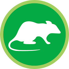They provide termite control and exterminator services as well as other services. 1 Richmond Pest Control Service Call For A Free Quote 604 447 1500