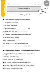 Exercice masculin fminin ce pdf. Adjectif Qualificatif Ce2 Cycle 2 Exercice Evaluation Revision Lecon