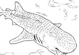 Select an animal below or download the full coloring book (44 mb). Mr Nussbaum Nurse Shark Sharks Coloring