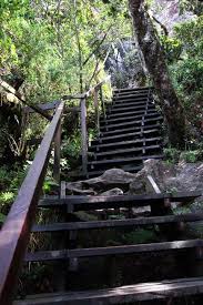 Sebab, di dalam perjalanan kita tidak akan tahu hal seperti apa yang sedang menanti kita. Taman Nasional Kinabalu Di Kalimantan Pegunungan Hutan Hujan Dan Rafflesia Berlangganan Berita Kota Kinabalu Pendakian Dalam Satu Hari