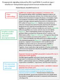 Unlike abstracts that are written for articles in social sciences, the imrad format. Use Imrad Stucture For The Write Order For Your Manuscripts Edanz