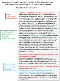 This section contains the details about your research and the main points that you have presented in it provides the final results of the research conducted. Use Imrad Stucture For The Write Order For Your Manuscripts Edanz