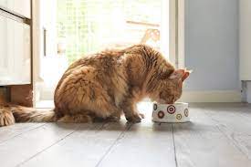 Story From Purina This Groundbreaking Cat Food Reduces Allergens In Cat Hair And Dander Homemade Cat Food Wet Cat Food Cat Diet